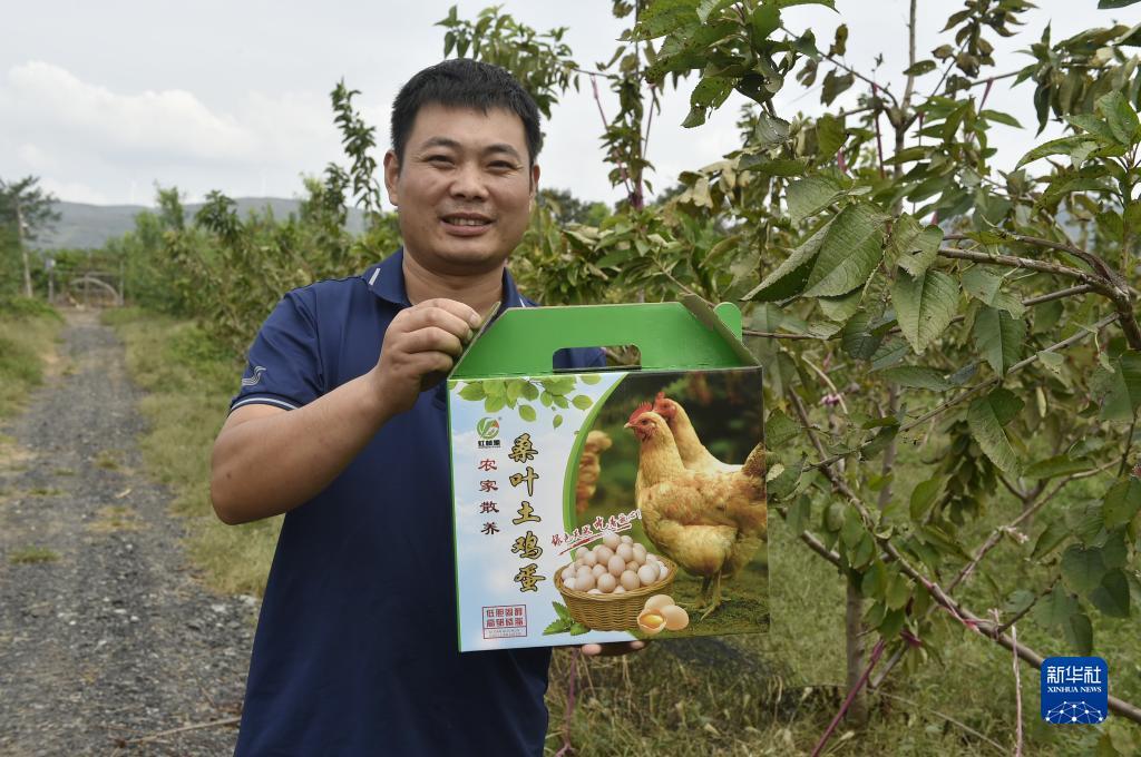 菠菜论坛社区